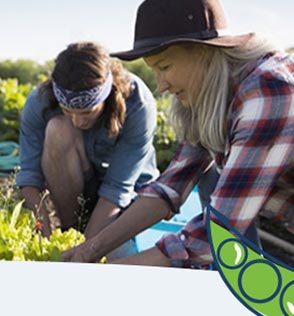 two women gardening