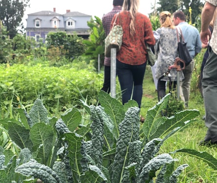 Board members visit farm with focus on produce