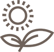 Fresh Produce Icon
