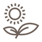 flower icon